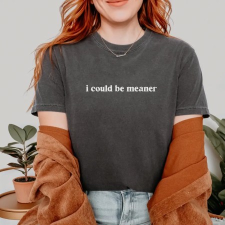 Comfort Colors I Could Be Meaner T-Shirt In Pepper Color